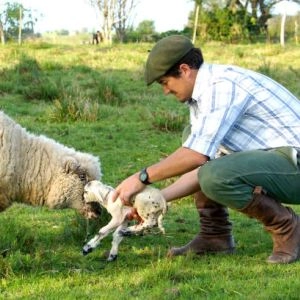Çiftlik İçin Aile - Bursa Orhaneli