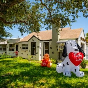 Yardımcı Bayan Eleman - Bodrum