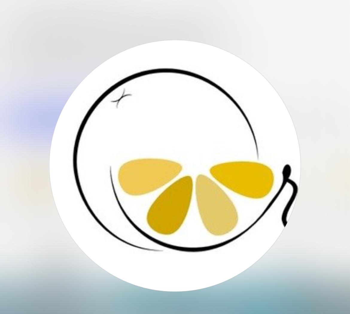 ORANGE PREMİUM SUİTES Logo