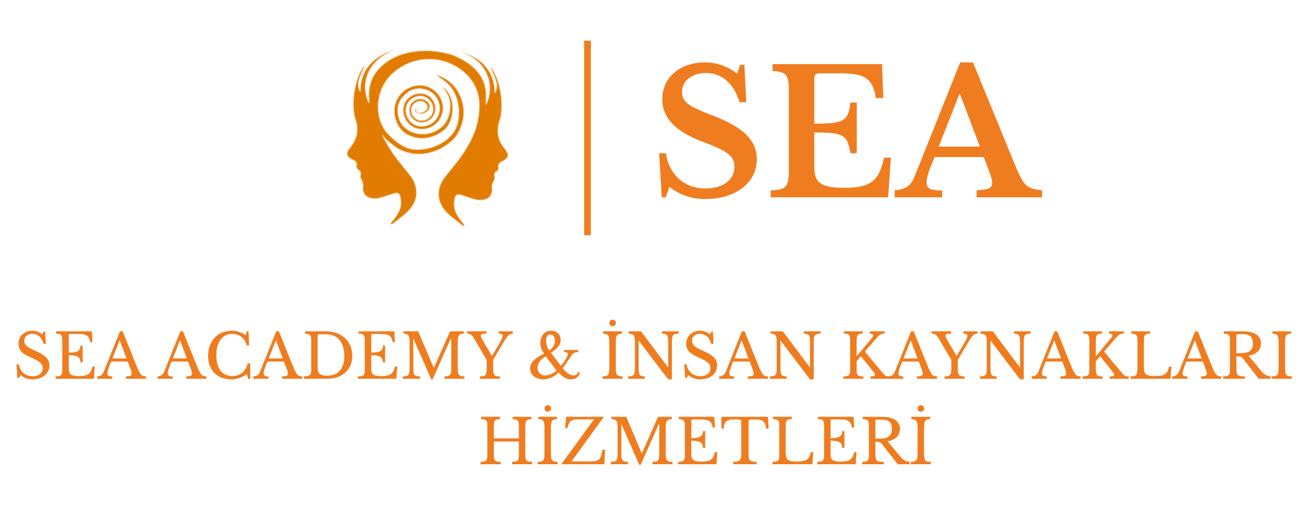 SEAACADEMYİK HİZMETLERİ Kapak Resmi