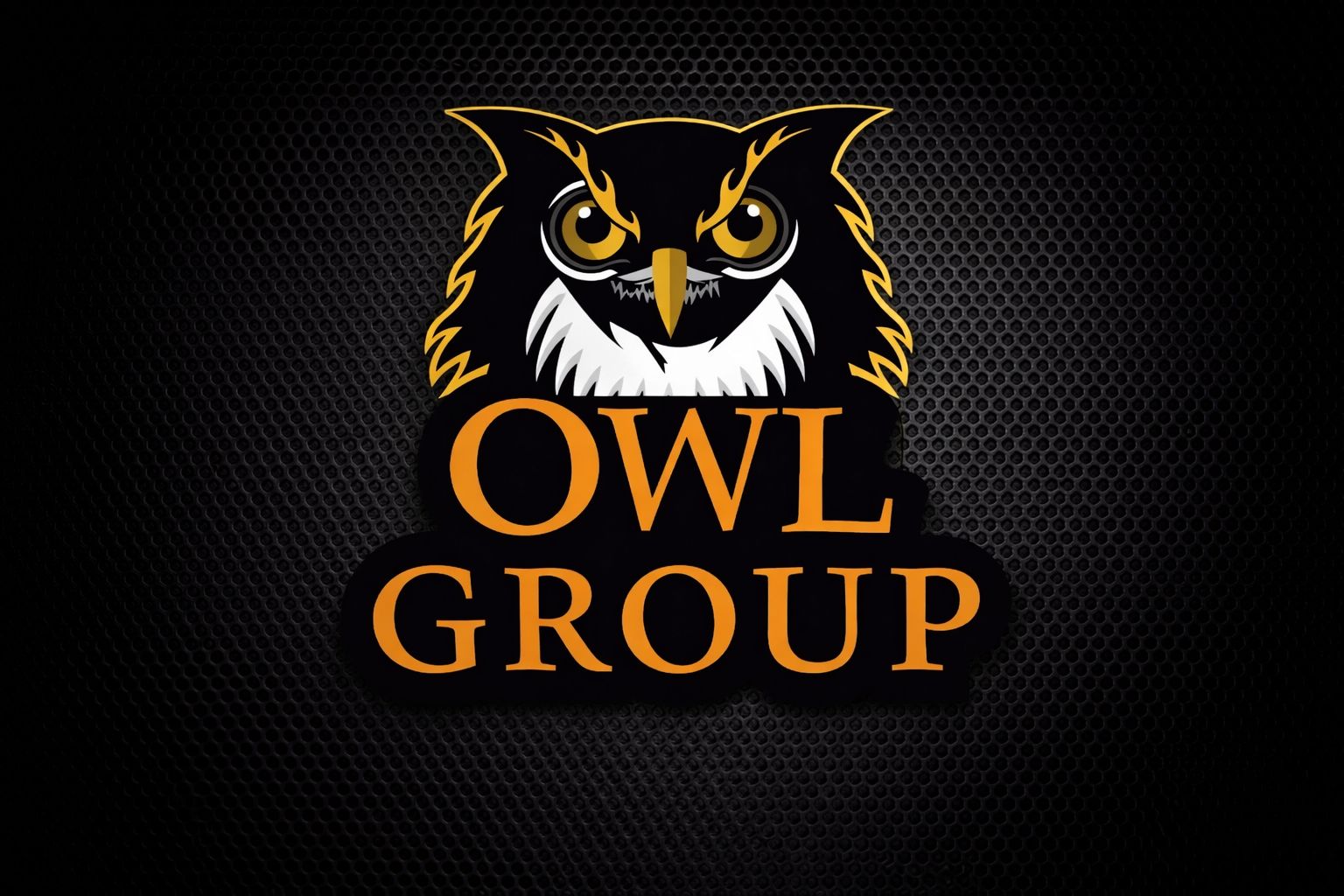 OWL GROUP  DANIŞMANLIK VE YÖNETİM ORGANİZASYON HİZM.LTD.ŞTİ. Logo